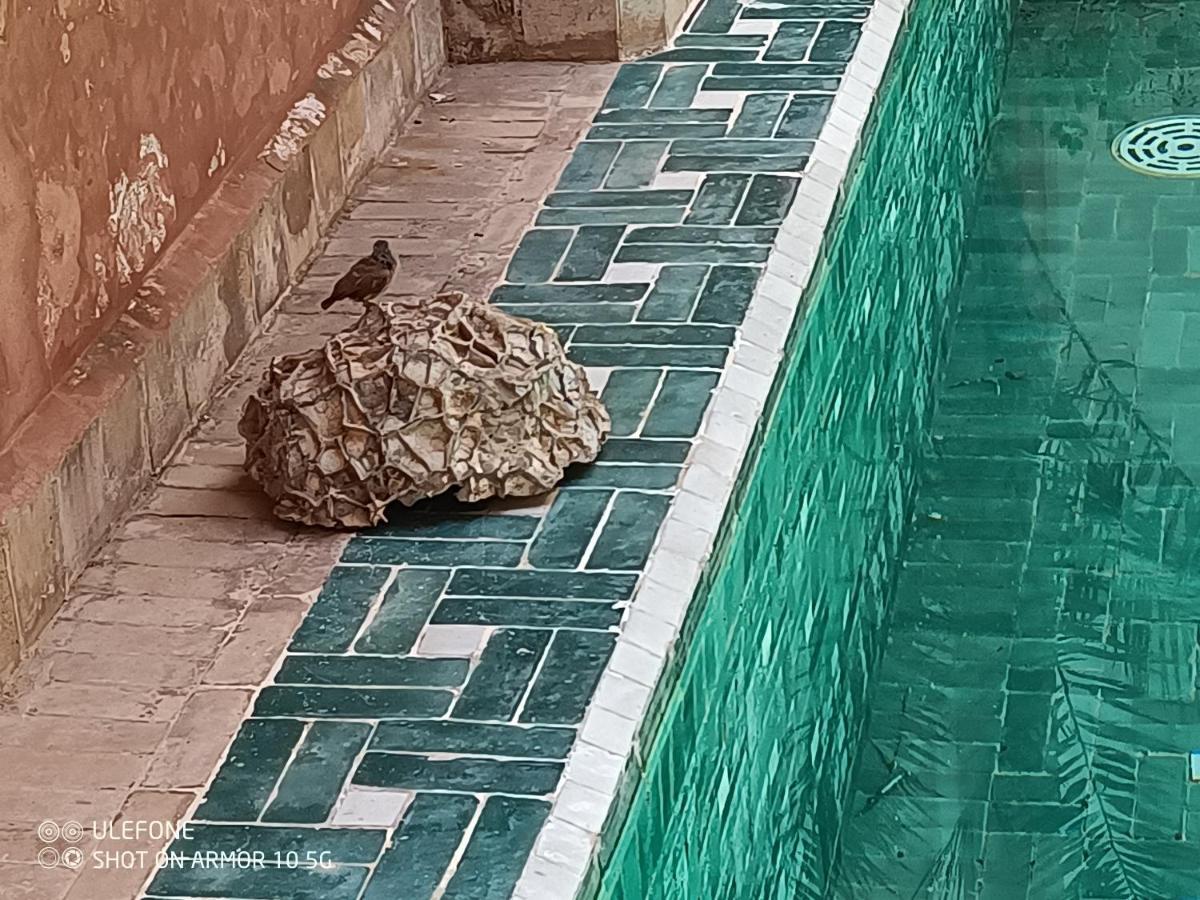 Riad Zagouda Marrakesh Exterior photo